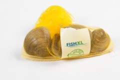 Groothandel-vis-FishXL-schelpdieren-clams_WL_9474