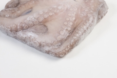 Groothandel-vis-FishXL-vis-octopus_WL_9766