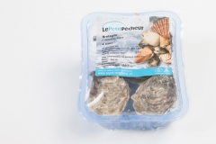 Groothandel-vis-FishXL-schelpdieren-oesters-bretagne_WL_9519