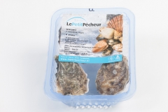 Groothandel-vis-FishXL-schelpdieren-umami-oesters_WL_9491-bewerkt