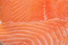 Groothandel-vis-FishXL-vis-gerookte-zalm_WL_9544