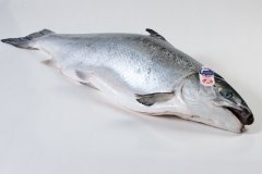 Groothandel-vis-FishXL-vis-schotse-zalm-label-rouge_WL_9034