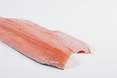 Groothandel-vis-FishXL-vis-zalmfilet_WL_9060