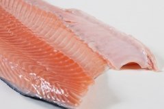 Groothandel-vis-FishXL-vis-zalmfilet_WL_9063