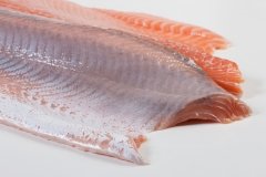 Groothandel-vis-FishXL-vis-zalmfilet_WL_9068