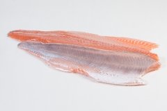 Groothandel-vis-FishXL-vis-zalmfilet_WL_9072