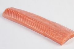 Groothandel-vis-FishXL-vis-zalmfilethaas_WL_9075