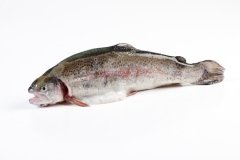 Groothandel-vis-FishXL-vis-zalmforel_WL_9048