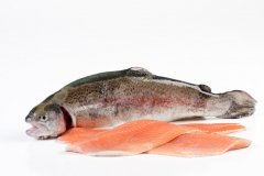 Groothandel-vis-FishXL-vis-zalmforel_WL_9050