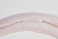 Groothandel-vis-FishXL-vis-zeewolf-filet_WL_9114