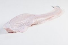 Groothandel-vis-FishXL-vis-zeewolf_WL_9103