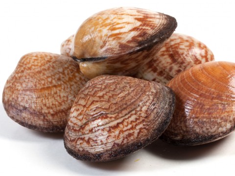Amandes