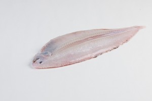 103011-3_Tong heel 450-500 gram - Copy