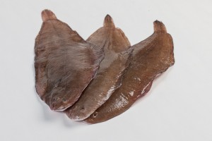 103021-1_tong slib