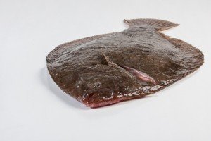 106002-2_Griet heel 2 kg +